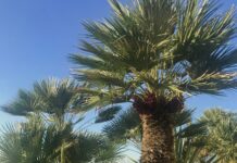 Castellammare, al via la ZTL sul lungomare